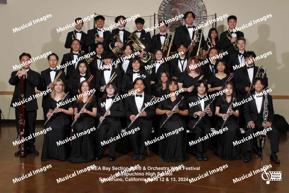 Musical Images